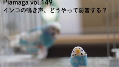 インコの鳴き声、どうやって防音する？