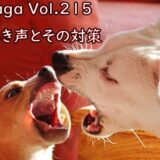 犬の鳴き声がうるさい！苦情を言われないために賃貸でできる防音対策とは？